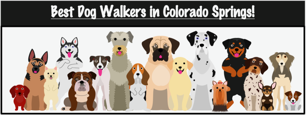 Best Dog Walkers Colorado Springs